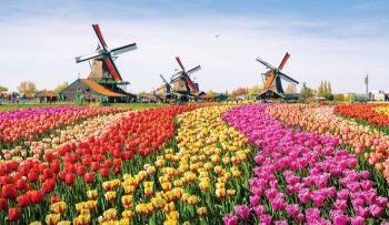 Benelux, Κάτω Χώρες – 7ημ. (Πάσχα – Μάιος – Ιούνιος)